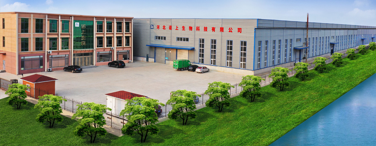 河北諾上生物科技有限公司